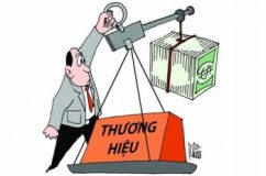 Chi phí đăng ký nhãn hiệu tại Việt Nam