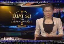 Thành lập doanh nghiệp có vốn nước ngoài Video tư vấn luật