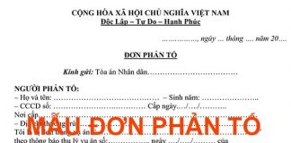 Mẫu đơn phản tố có hướng dẫn cách viết đơn