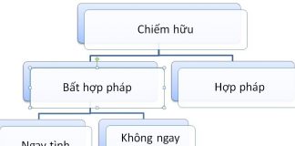 Chiếm hữu tài sản