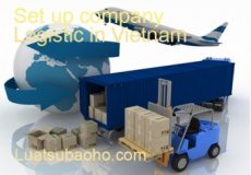Tư vấn dự án đầu tư Logistic vào Việt Nam