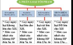 phân loại tội phạm