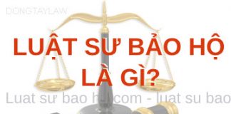 Luật sư bảo hộ là gì