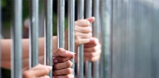 Quy định về tạm giam bị can, bị cáo