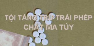 Tư vấn tội tàng trữ trái phép chất ma túy