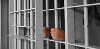 Bị bắt giam thông qua lời khai của người phạm tội ma túy