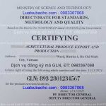 Dịch vụ đăng ký mã GLN cho doanh nghiệp