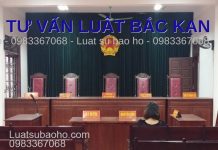 Công ty luật tư vấn luật tại Bắc Kạn