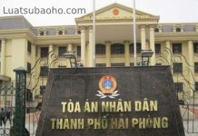 Dịch vu luật sư bào chữa án hình sự tại Hải Phòng