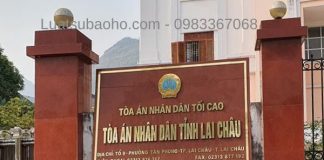 Luật sư tư vấn luật tại Lai Châu
