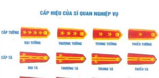 Cách đoán tuổi CSGT thông qua quân hàm