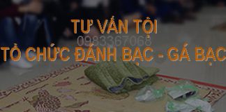 Luật sư tư vấn tội tổ chức đánh bạc hoặc gá bạc