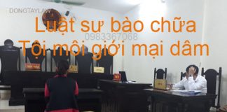 Luật sư bào chữa tội môi giới mại dâm