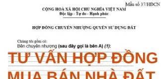 Tư vấn hợp đồng mua bán nhà đất