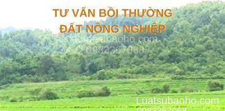 Tư vấn luật bồi thường đất nông nghiệp