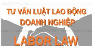 Tư vấn pháp luật lao động cho doanh nghiệp