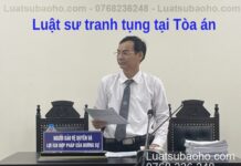 Dịch vụ Luật sư tranh tụng tại Tòa án