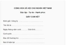 Cam kết là gì?