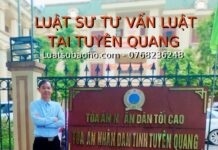 Luật sư tư vấn luật tại Tuyên Quang
