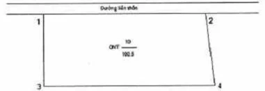 Tách thửa đất Nghị định 101/2024/NĐ-CP đăng ký, cấp Giấy chứng nhận quyền sử dụng đất, quyền sở hữu tài sản gắn liền với đất