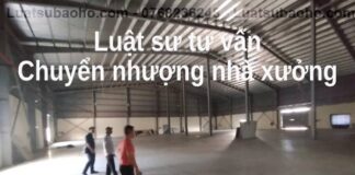 Luật sư tư vấn chuyển nhượng nhà xưởng